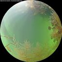 ./images/calvert/underwater/20260730/underwater20260730_150501M.jpg