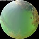 ./images/calvert/underwater/20260730/underwater20260730_151002M.jpg