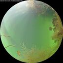 ./images/calvert/underwater/20260730/underwater20260730_151501M.jpg