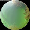 ./images/calvert/underwater/20260730/underwater20260730_152001M.jpg