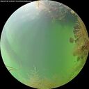 ./images/calvert/underwater/20260730/underwater20260730_154501M.jpg