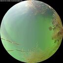 ./images/calvert/underwater/20260730/underwater20260730_155001M.jpg