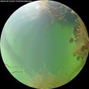 ./images/calvert/underwater/20260730/underwater20260730_155501M.jpg
