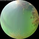 ./images/calvert/underwater/20260730/underwater20260730_160002M.jpg