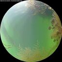./images/calvert/underwater/20260730/underwater20260730_160501M.jpg
