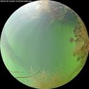 ./images/calvert/underwater/20260730/underwater20260730_161001M.jpg