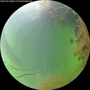 ./images/calvert/underwater/20260730/underwater20260730_163001M.jpg