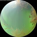 ./images/calvert/underwater/20260730/underwater20260730_163501M.jpg
