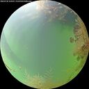 ./images/calvert/underwater/20260730/underwater20260730_164501M.jpg