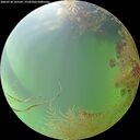 ./images/calvert/underwater/20260730/underwater20260730_165502M.jpg