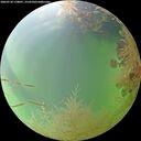 ./images/calvert/underwater/20260730/underwater20260730_170001M.jpg