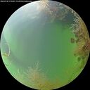 ./images/calvert/underwater/20260730/underwater20260730_171001M.jpg