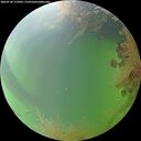 ./images/calvert/underwater/20260730/underwater20260730_172002M.jpg