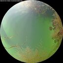 ./images/calvert/underwater/20260730/underwater20260730_173001M.jpg