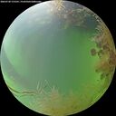 ./images/calvert/underwater/20260730/underwater20260730_175501M.jpg