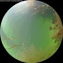 ./images/calvert/underwater/20260730/underwater20260730_181001M.jpg