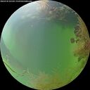 ./images/calvert/underwater/20260730/underwater20260730_181501M.jpg