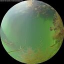 ./images/calvert/underwater/20260730/underwater20260730_182501M.jpg