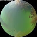 ./images/calvert/underwater/20260730/underwater20260730_184001M.jpg