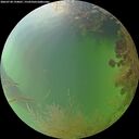 ./images/calvert/underwater/20260730/underwater20260730_194001M.jpg