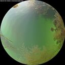 ./images/calvert/underwater/20260730/underwater20260730_195001M.jpg