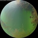 ./images/calvert/underwater/20260730/underwater20260730_200501M.jpg