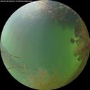 ./images/calvert/underwater/20260730/underwater20260730_201001M.jpg