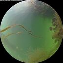 ./images/calvert/underwater/20260730/underwater20260730_203002M.jpg