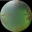 ./images/calvert/underwater/20260730/underwater20260730_203501M.jpg