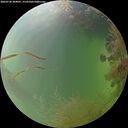 ./images/calvert/underwater/20260730/underwater20260730_204001M.jpg