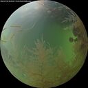 ./images/calvert/underwater/20260730/underwater20260730_204501M.jpg