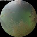./images/calvert/underwater/20260730/underwater20260730_205002M.jpg