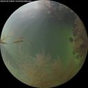 ./images/calvert/underwater/20260730/underwater20260730_210002M.jpg
