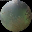 ./images/calvert/underwater/20260730/underwater20260730_210501M.jpg