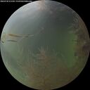 ./images/calvert/underwater/20260730/underwater20260730_211502M.jpg