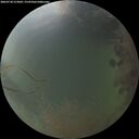 ./images/calvert/underwater/20260730/underwater20260730_213001M.jpg