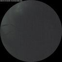 ./images/calvert/underwater/20260730/underwater20260730_220501M.jpg