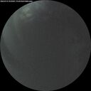 ./images/calvert/underwater/20260731/underwater20260731_052002M.jpg