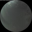 ./images/calvert/underwater/20260731/underwater20260731_052501M.jpg