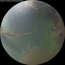 ./images/calvert/underwater/20260731/underwater20260731_054001M.jpg