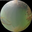 ./images/calvert/underwater/20260731/underwater20260731_061501M.jpg