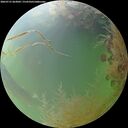 ./images/calvert/underwater/20260731/underwater20260731_063001M.jpg