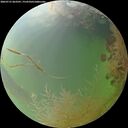 ./images/calvert/underwater/20260731/underwater20260731_063501M.jpg