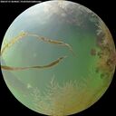 ./images/calvert/underwater/20260731/underwater20260731_064001M.jpg