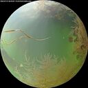 ./images/calvert/underwater/20260731/underwater20260731_064502M.jpg
