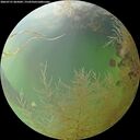 ./images/calvert/underwater/20260731/underwater20260731_065002M.jpg