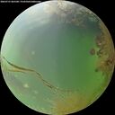./images/calvert/underwater/20260731/underwater20260731_065501M.jpg