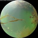 ./images/calvert/underwater/20260731/underwater20260731_070001M.jpg