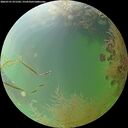 ./images/calvert/underwater/20260731/underwater20260731_071502M.jpg
