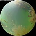 ./images/calvert/underwater/20260731/underwater20260731_072002M.jpg